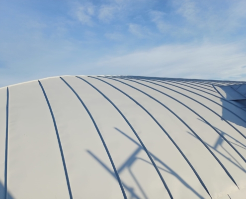 WhatsApp Image 2026-03-03 at 21.30.21 (1)